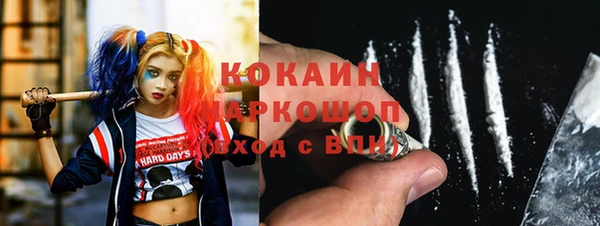 гидра Белокуриха