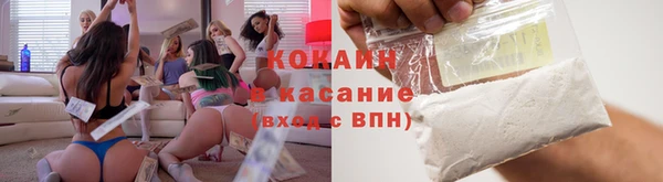 гидра Белокуриха