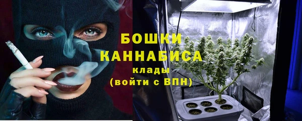 гидра Белокуриха