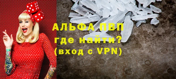 гидра Белокуриха