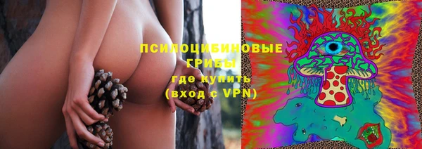 гидра Белокуриха